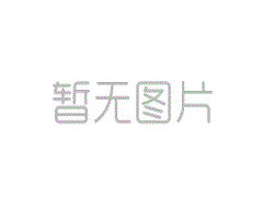 機床工具行業(yè)海外并購企業(yè)座談會序曲